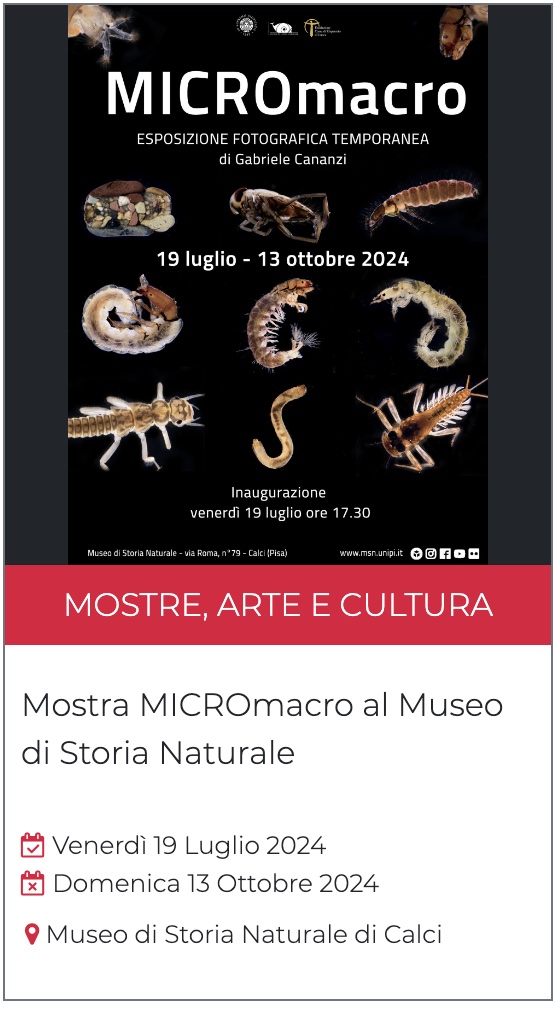 Mostra MICROmacro al Museo di Storia Naturale Venerdì 19 Luglio 2024 Domenica 13 Ottobre 2024